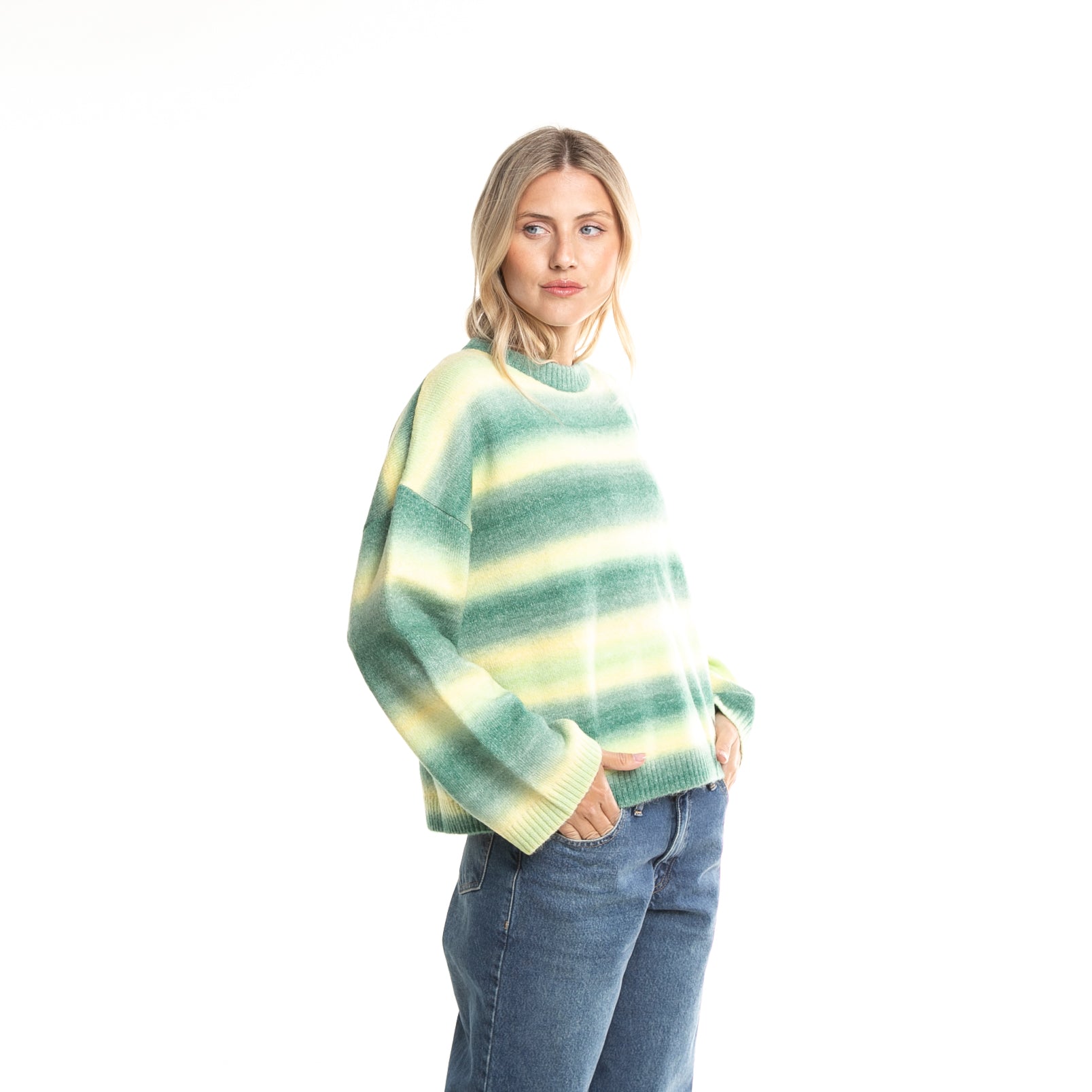 Sweater Rusty Marissa Long Sleeve Crew Neck Ombre Knit* Lime